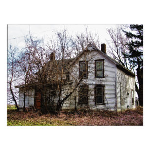 "Orange Ya Gonna Stay Awhile?" Photo Print