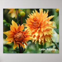 Orange & Yellow Dahlia Garden Flowers RHS Wisley