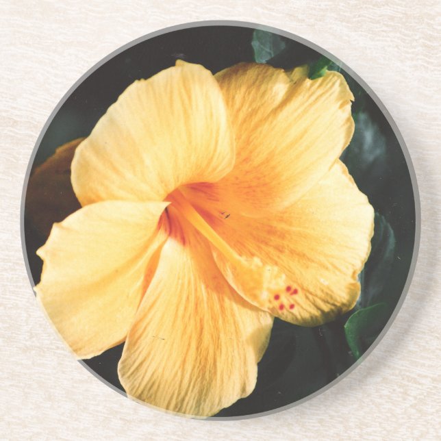 Orange Yellow Hibiscus Flower Coaster (Front)
