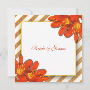 Orange yellow red wedding country clivia invitation