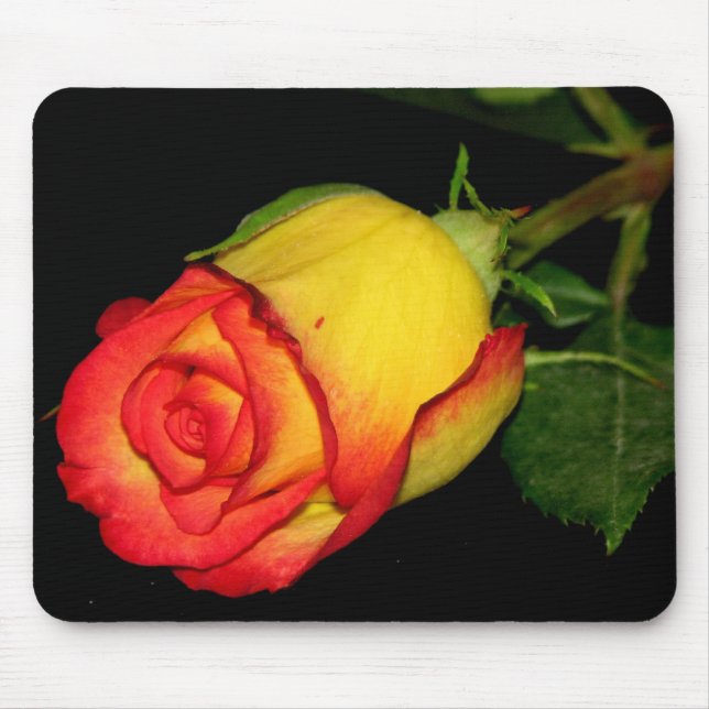 Orange-Yellow  Rose Mouse Pad (Front)