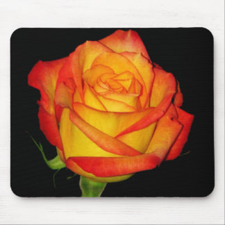 Orange-Yellow  Rose Mouse Pad