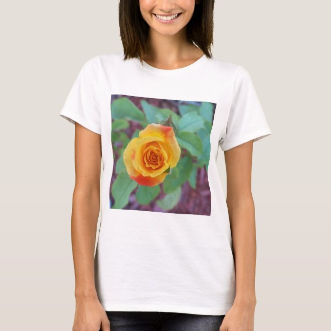 Orange yellow rose with morning dew T-Shirt (Front)