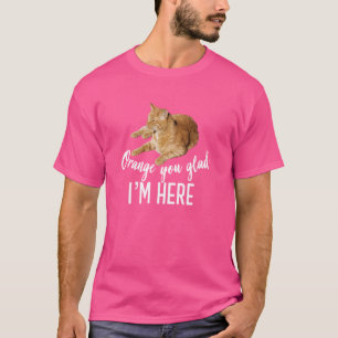 Orange You Glad I'm Here Tabby Cat Lover Graphic T-Shirt