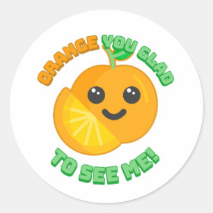 Orange you glad to see me? Cute orange cartoon Classic Round Sticker