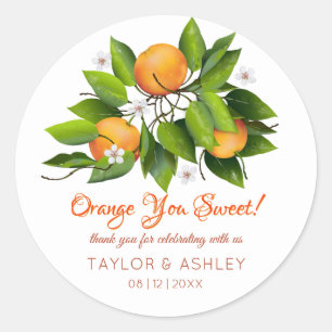 Orange You Sweet Fruit   Wedding Classic Round Sticker