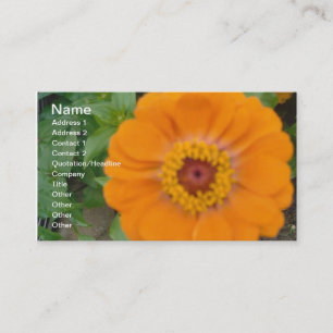 Orange Zinnia Business Card