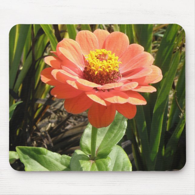 Orange Zinnia Flower Mousepad (Front)
