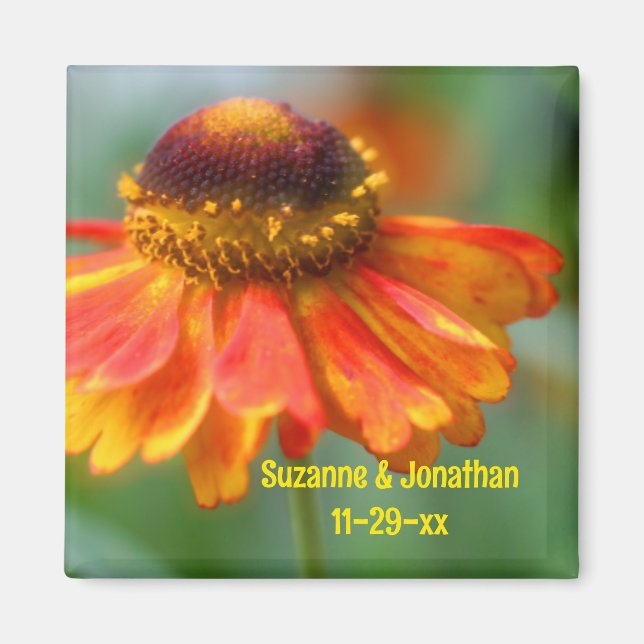 Orange Zinnia Flower Personalised Wedding  Magnet (Front)