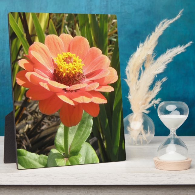 Orange Zinnia Flower Plaque (Side)