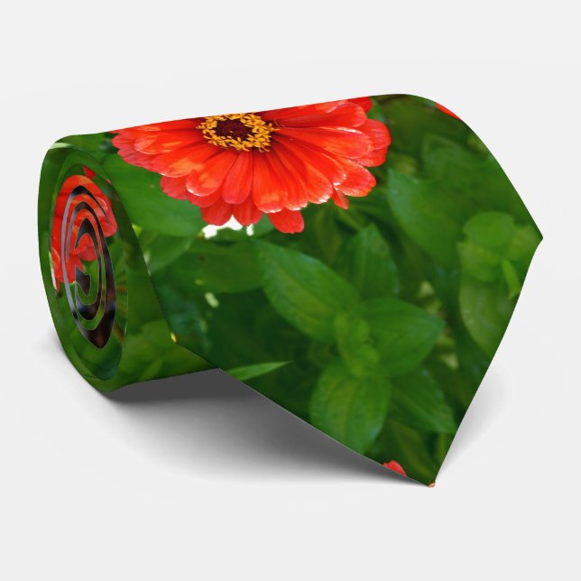 Orange zinnia, orange flowers, red flowers tie (Rolled)