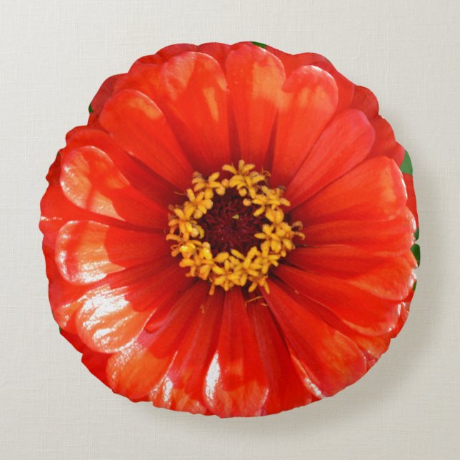 Orange Zinnia Round Cushion (Front)