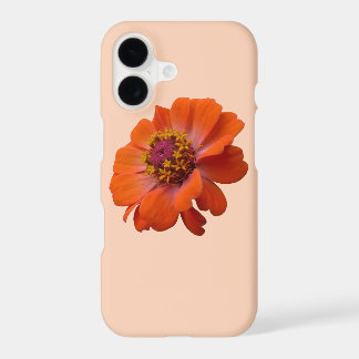 Orange Zinnia Wildflower Nature Floral