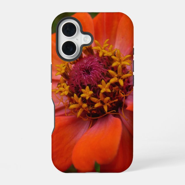 Orange Zinnia Wildflower Nature Floral iPhone 16 Case (Back)