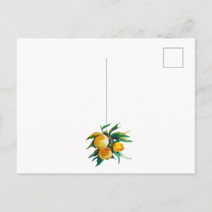 Oranges and flowers postcard