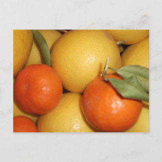 Oranges and Lemons Postcard