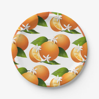Oranges Citrus Fruit Cocktail Party Paper Plate