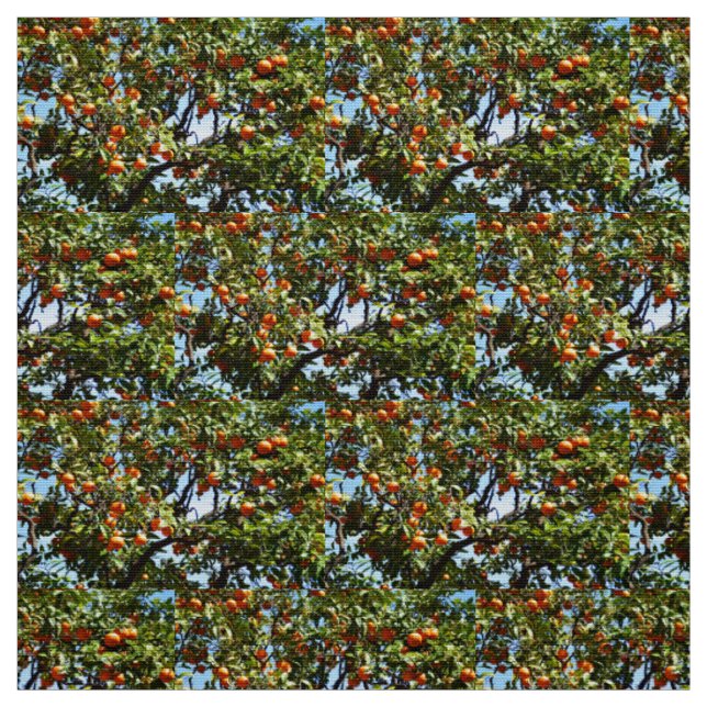 Oranges Fabric (Swatch)