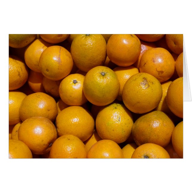 Oranges fruit Florida market orange  (Front Horizontal)