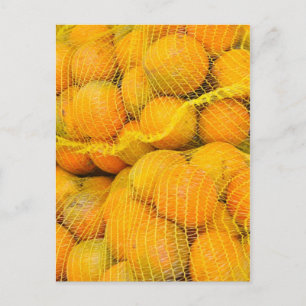 Oranges in Net Bags Postcard