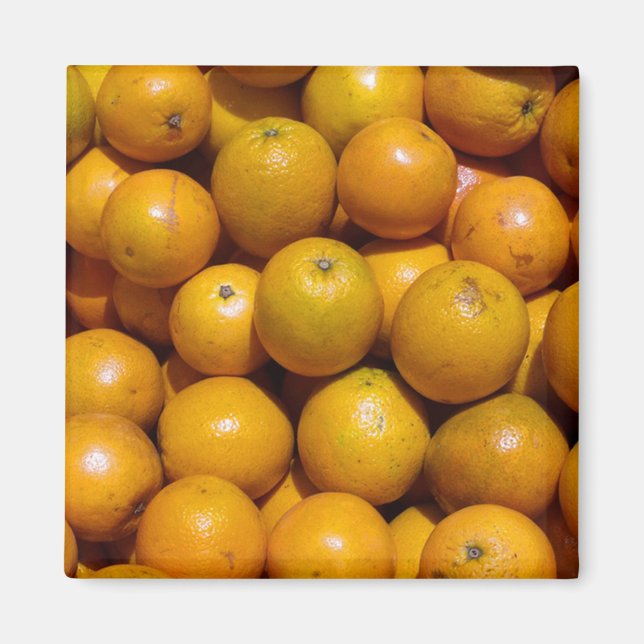 Oranges Magnet (Front)