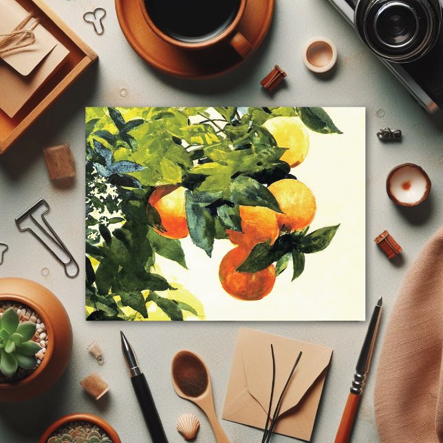 Oranges on a Branch Winslow Homer Fine Art Postcar Postcard (Creator Uploaded)