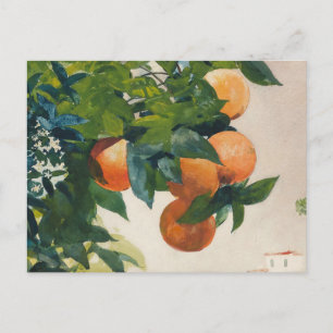 Oranges on a Branch   Winslow Homer Postcard
