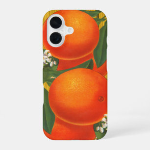 Oranges Retro Fruit Crate Art iPhone 16 Case