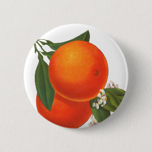 Oranges Vintage Crate Art 6 Cm Round Badge