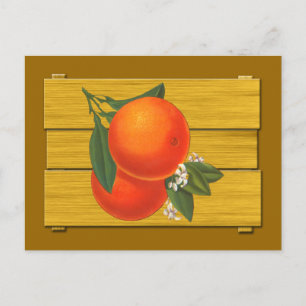 Oranges Vintage Crate Art Postcard