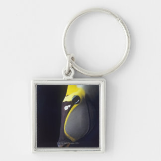 Orangespine Unicornfish, Naso lituratus Key Ring