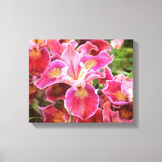 Orangish Pink Iris Canvas Print (Front)