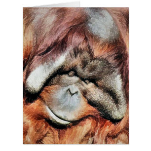 ORANGUTAN