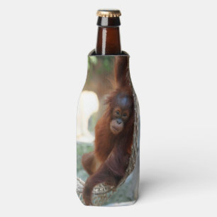 OrangUtan 001 Bottle Cooler