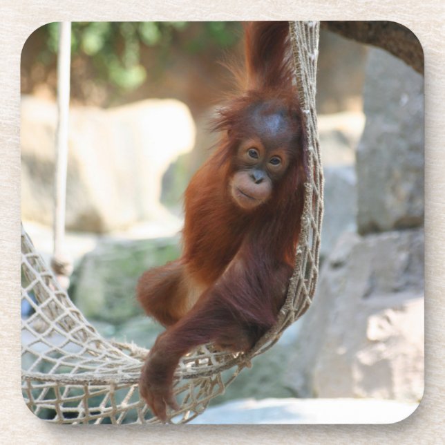OrangUtan 001 Coaster (Front)