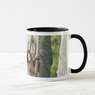 Orangutan #1/Ringer mug