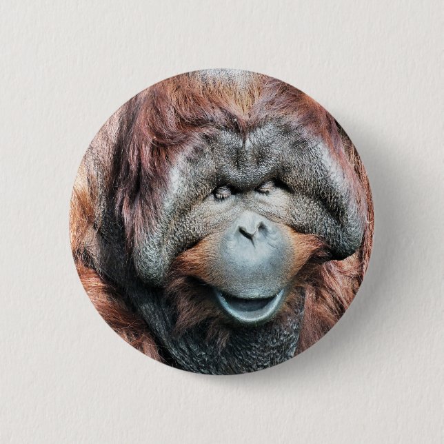 ORANGUTAN 6 CM ROUND BADGE (Front)