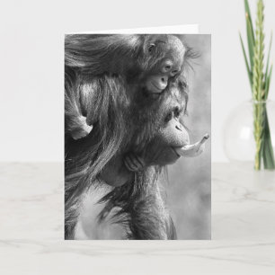 Orangutan#8-Greeting Card