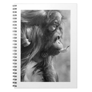 Orangutan#8-Notebook Notebook