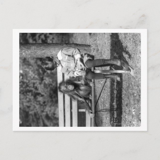 Orangutan and Boy in the National Zoo Photograph Postcard (Front)