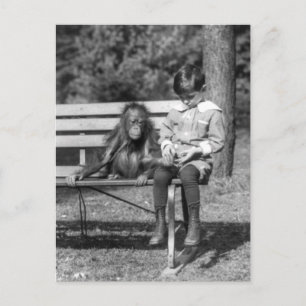 Orangutan and Boy - National Zoo Postcard