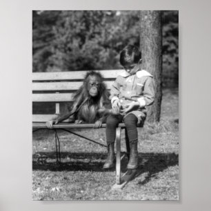 Orangutan and Boy - National Zoo Poster