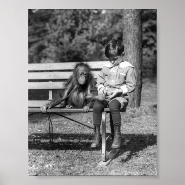 Orangutan and Boy - National Zoo Poster (Front)