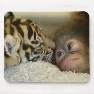 Orangutan and Tiger Mousepad