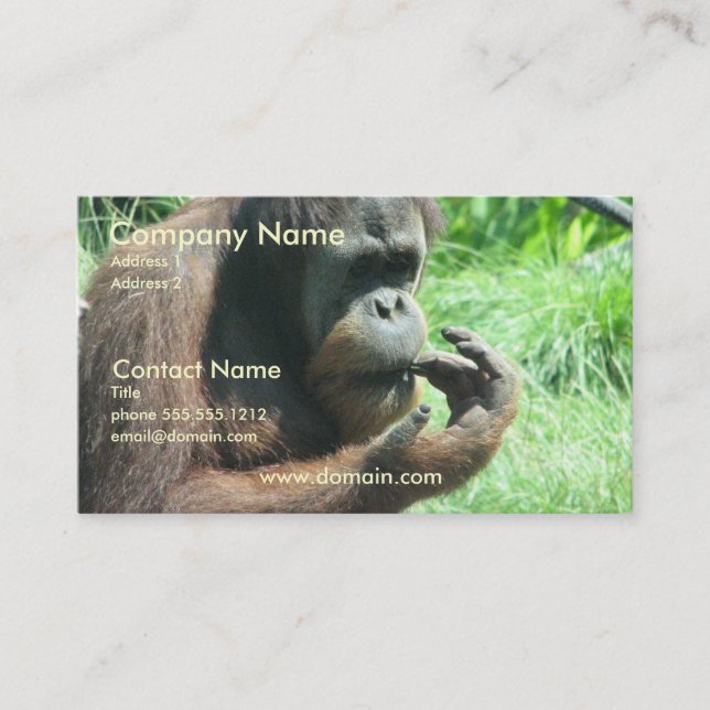 Orangutan Ape Business Card (Front)