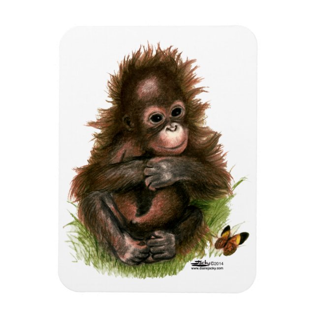 Orangutan Baby and Butterfly Magnet (Vertical)