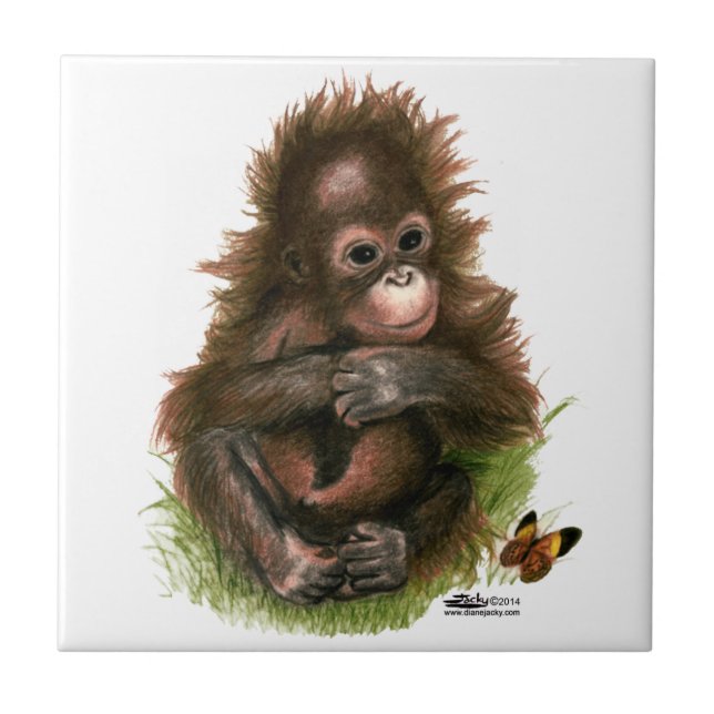 Orangutan Baby and Butterfly Tile (Front)