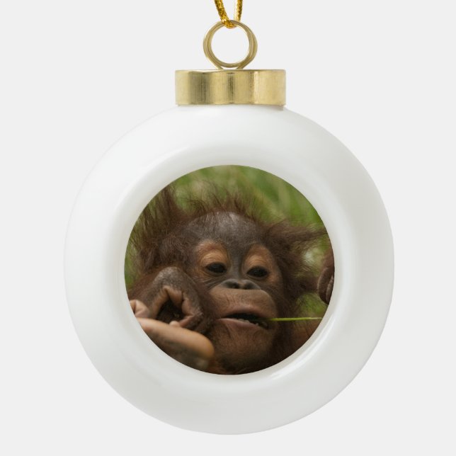 Orangutan Baby Ceramic Ball Christmas Ornament (Front)