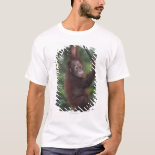 Orangutan Baby Climbing Liana T-Shirt