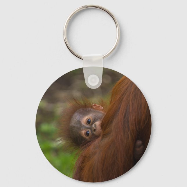 Orangutan Baby Having A Peek Key Ring (Front)